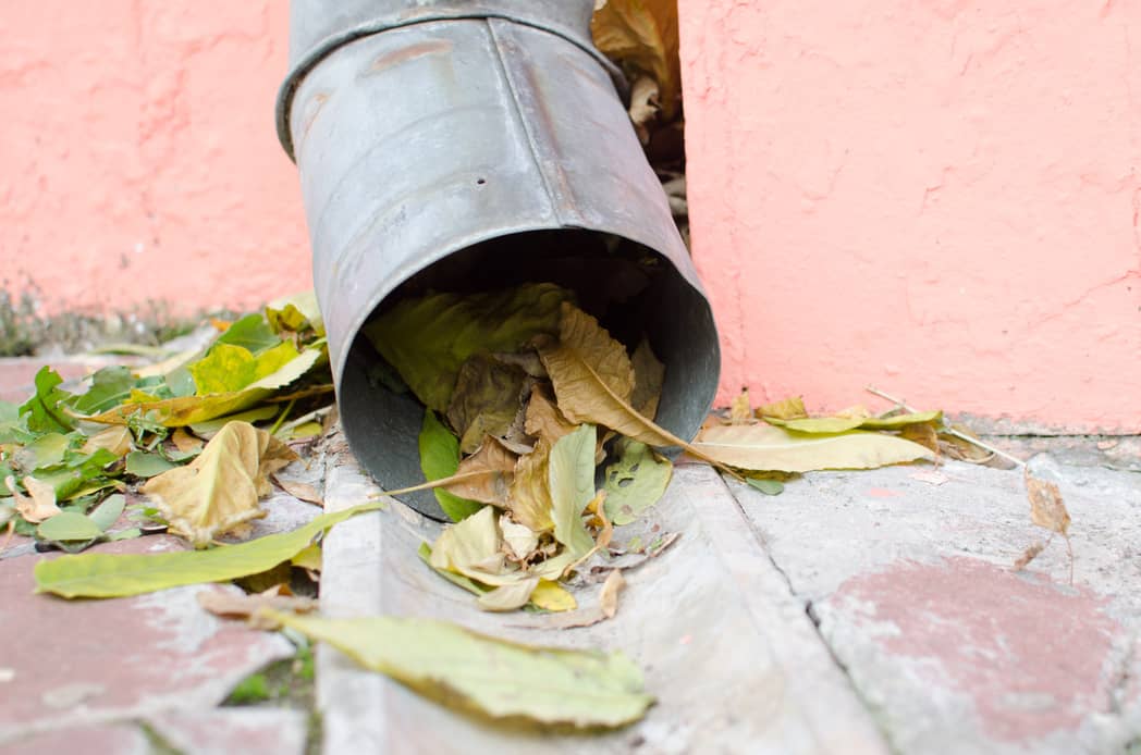 Clogged downspouts can be cleared with a hose or auger.