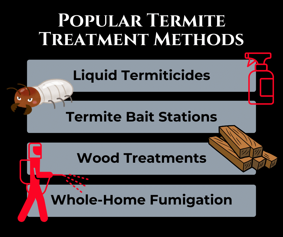 Popular Termite Treatment Methods