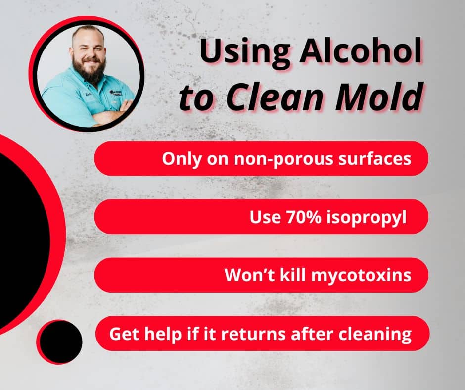 how to use alcohol to clean mold