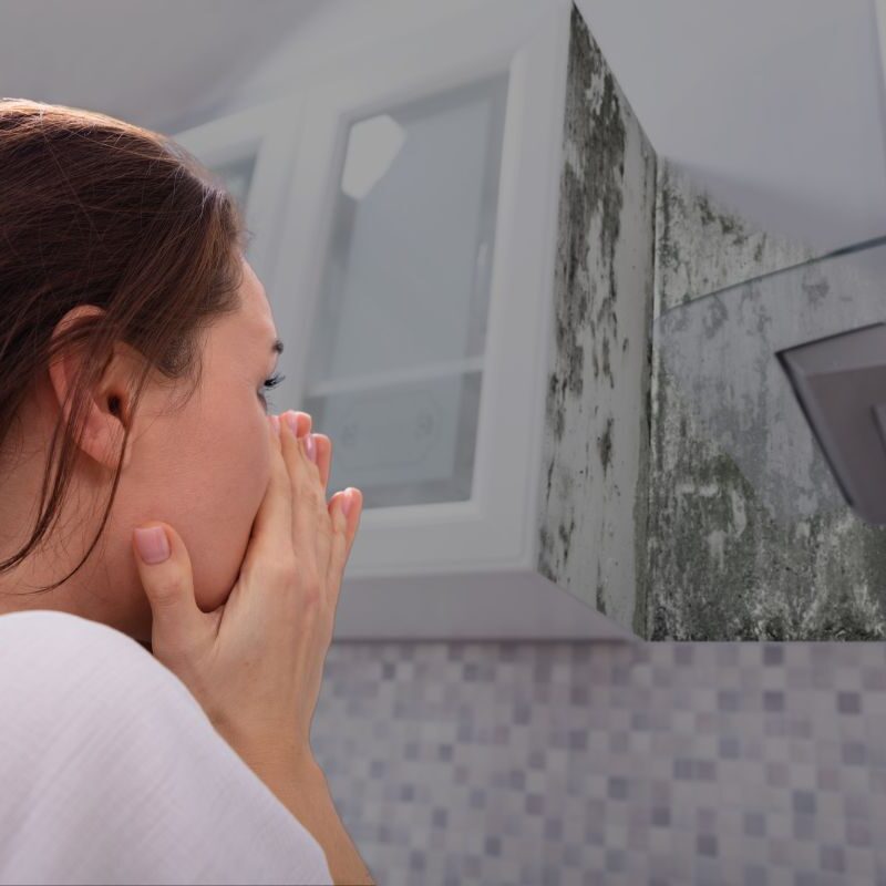 does alcohol kill mold