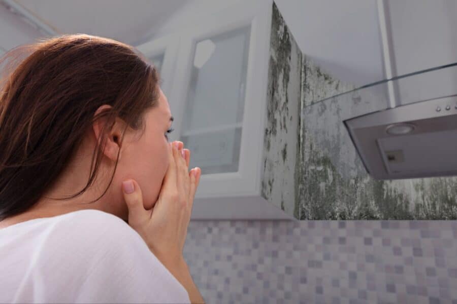 does alcohol kill mold