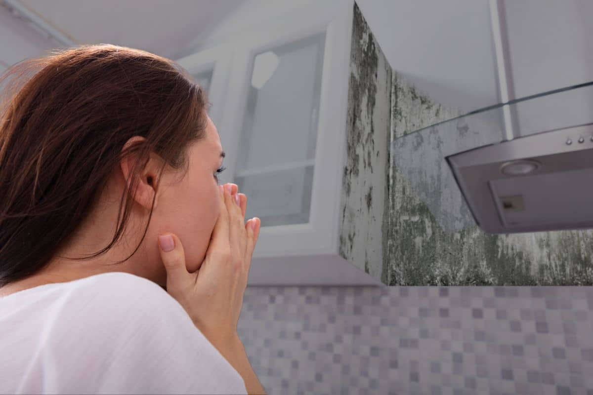 does alcohol kill mold