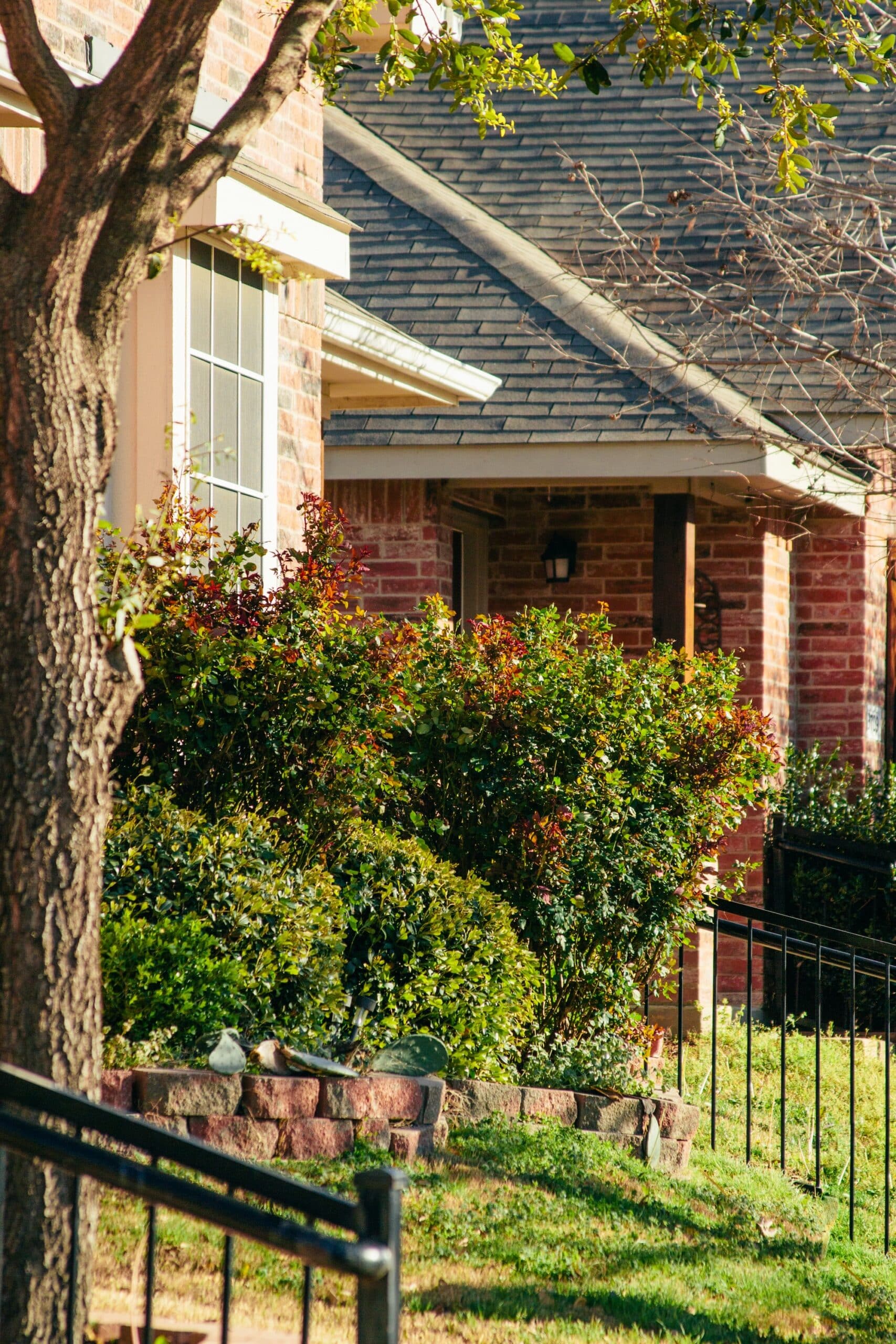 A sunny suburban scene shows a brick house with a gray shingled roof, lush green bushes, and a tree casting soft shadows, creating a warm, inviting atmosphere.