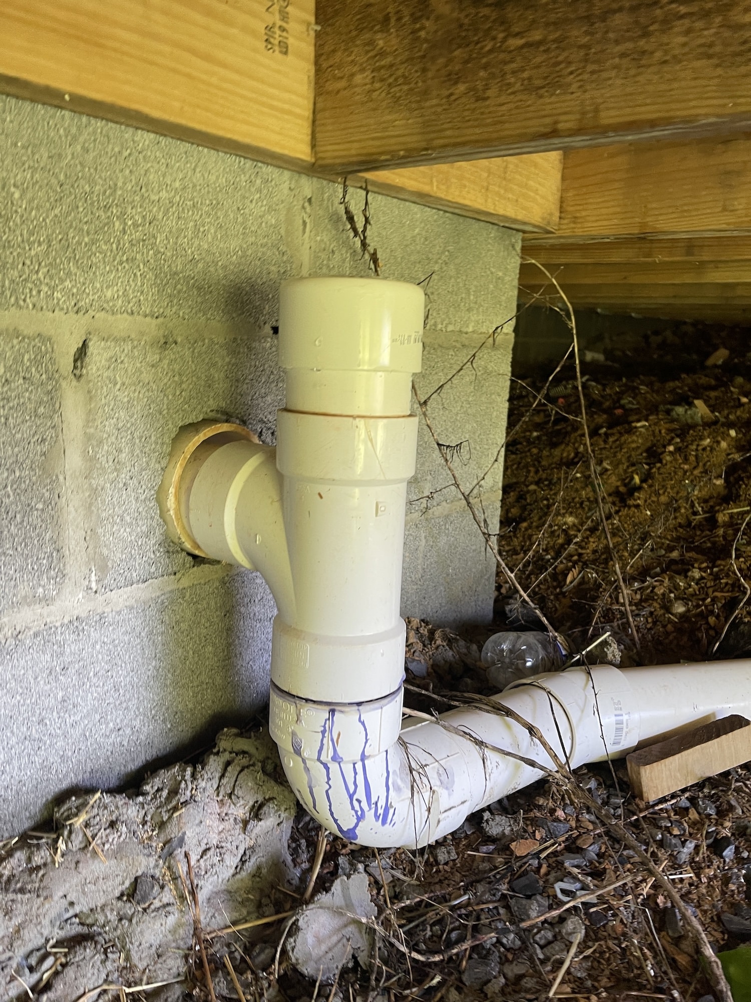 Sewer pipes are often blocked by root intrusions