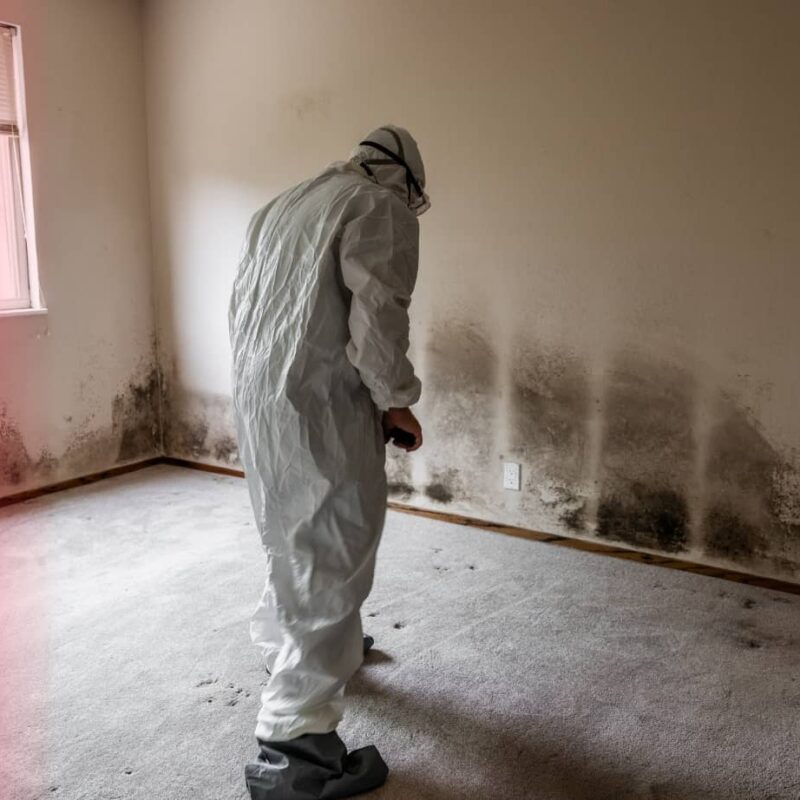 A professional wearing a full white protective hazmat suit inspects an empty room with extensive black mold growth along the bottom of the walls.
