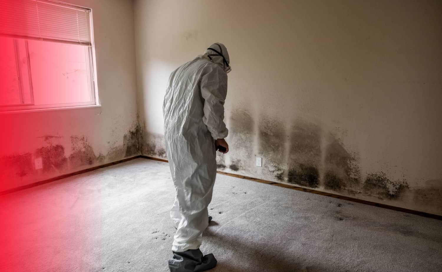 A professional wearing a full white protective hazmat suit inspects an empty room with extensive black mold growth along the bottom of the walls.