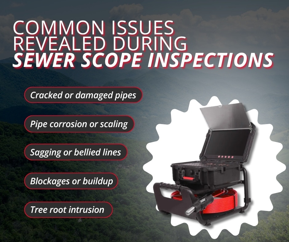 Infographic listing common issues found during sewer scope camera inspections, including cracked pipes, corrosion, sagging lines, blockages, and tree root intrusion